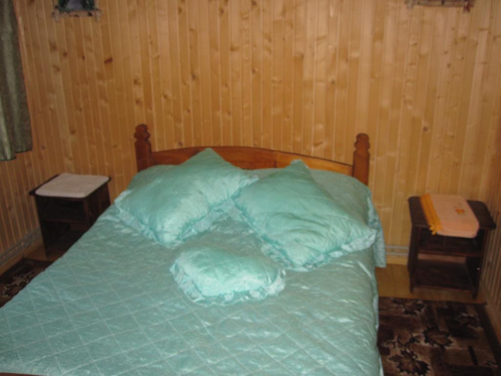 Villa Teremok Mykulychyn Habitación foto