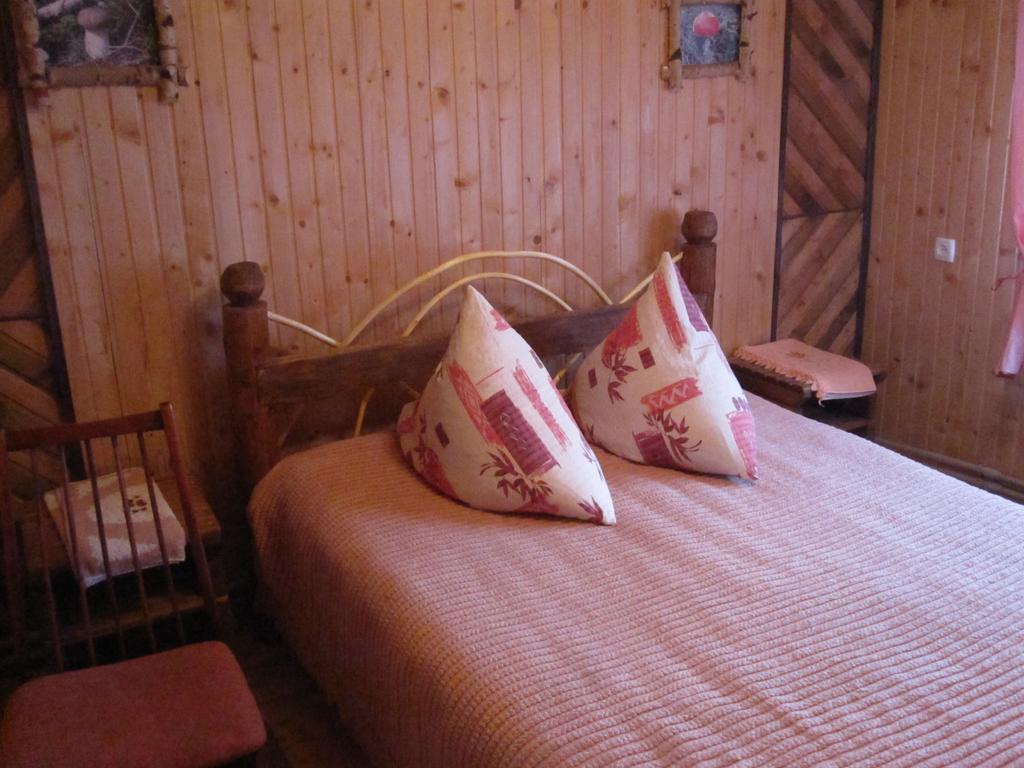 Villa Teremok Mykulychyn Habitación foto